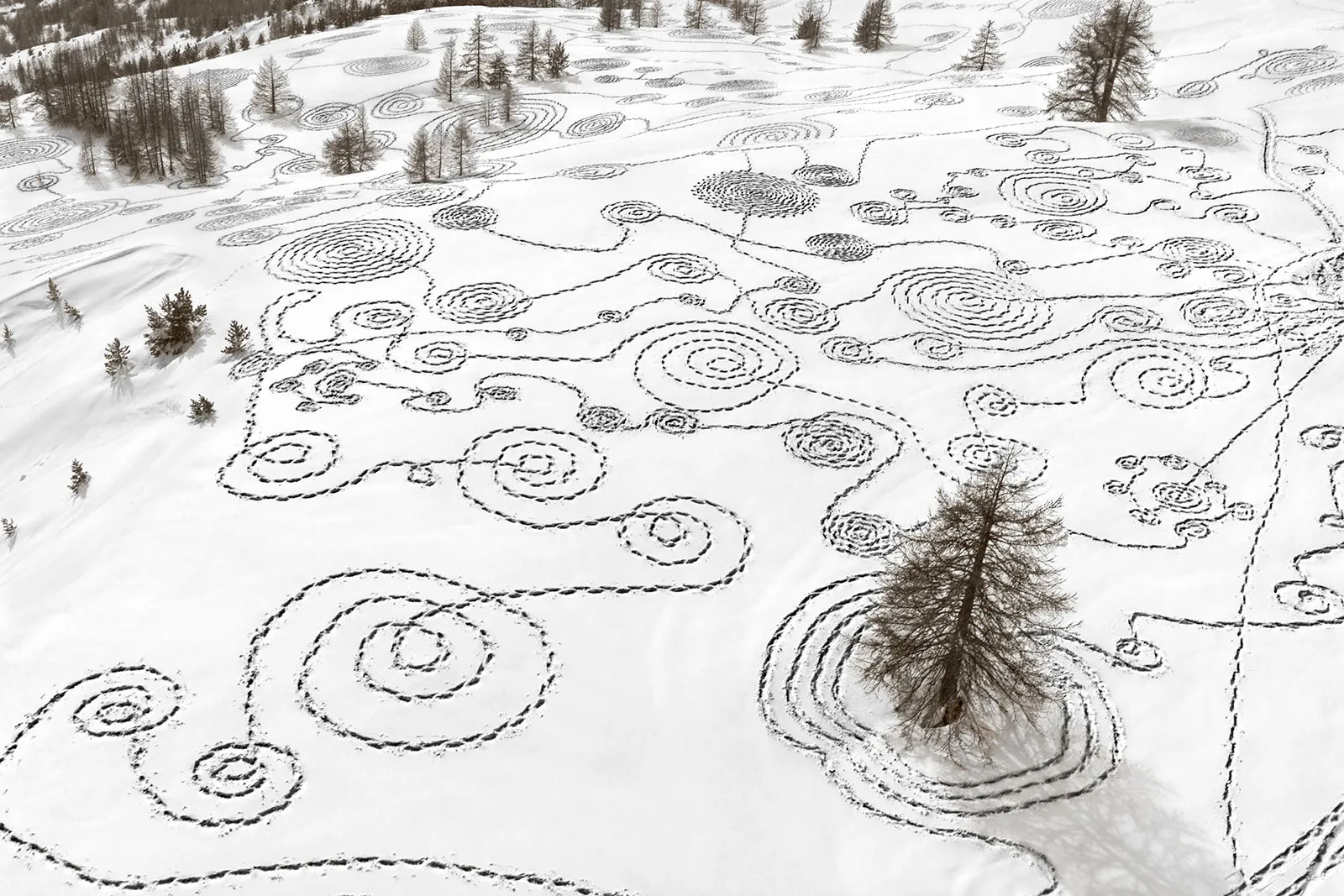 Luftaufnahme einer Schneezeichnung: Spiralen und Linien aus Schneeschuhspuren auf einem verschneiten Hang mit Lärchen